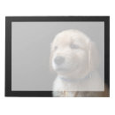 Search for golden retriever notepads Cute baby animal
