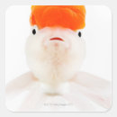 Search for swim fins stickers Full length