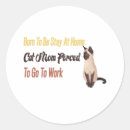 Search for cat home stickers Kitten