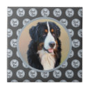 Search for pet photo tiles Animal lovers