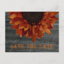 Search for sunflower wedding save the dates Barn wood