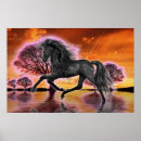 Search for stallions posters Black