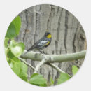 Search for warbler stickers Nature