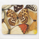Search for collectable mouse mats Animal