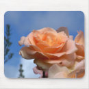 Search for rose macro mouse mats Nature