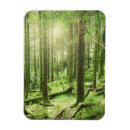 Search for national park magnets Forest