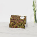 Search for carnivorous cards Nature