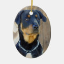 Search for rotty christmas tree decorations Canine