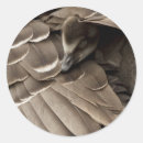 Search for gosling stickers Bird