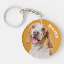 Search for pet loss key rings Modern simple template