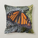 Search for monarch butterfly cushions Insect