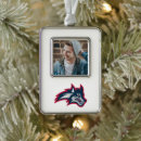 Search for brookings or christmas tree decorations Wolfie the seawolf