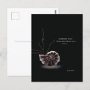 Search for promos postcards Customer