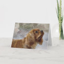 Search for cavalier king charles spaniel christmas cards Animal