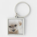Search for toy poodle key rings Dog