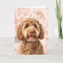 Search for goldendoodle cards Thinking of you
