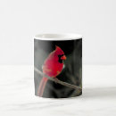 Search for tree branch mugs Bird