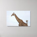 Search for tranquil scene canvas prints Side view