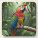 Search for macaws coasters Birds