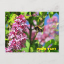 Search for hovering postcards Wings