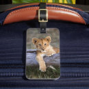 Search for kenya luggage tags Lion