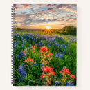 Search for indian notebooks Landscape