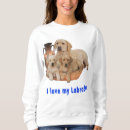 Search for labrador retriever clothing Pets