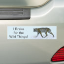 Search for big cats bumper stickers Wildlife