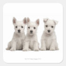 Search for terrier square stickers Animals