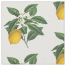 Search for vintage botanical fabric Citrus