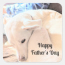 Search for beautiful day stickers Photograph