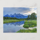 Search for watering hole postcards Sunset