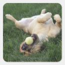 Search for laying down stickers Horizontal