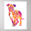 Search for bulls art Pitbull