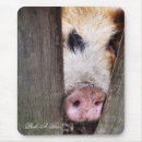 Search for pig mouse mats Humour