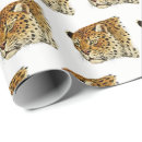 Search for spots gift wrap Cat