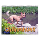 Search for chihuahua calendars Puppy