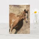 Search for flashy cards Mare