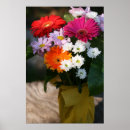 Search for 24 photography Flower