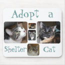 Search for tortoiseshell electronics Cat