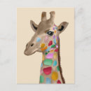 Search for multicoloured postcards Rainbow