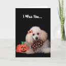 Search for dog halloween cards Animal