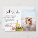 Search for sitting invitations Dog
