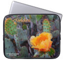 Search for pear cactus electronics Flower