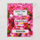 Search for begonia postcards Flowers