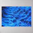 Search for blue swirl pattern posters Abstract