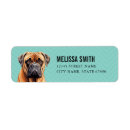 Search for bullmastiffs Blue