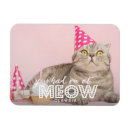 Search for fun rectangular magnets Modern