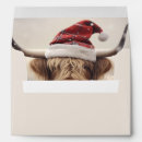 Search for cow envelopes Simple
