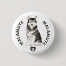 Search for malamute badges Dog